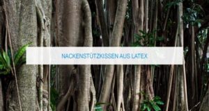 Nackenstützkissen aus Latex